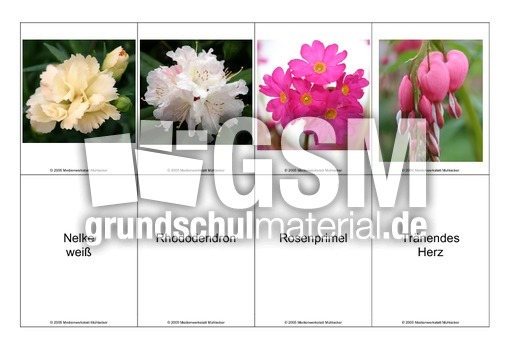 Blumen-Memo-Aufdeckspiel-18.pdf